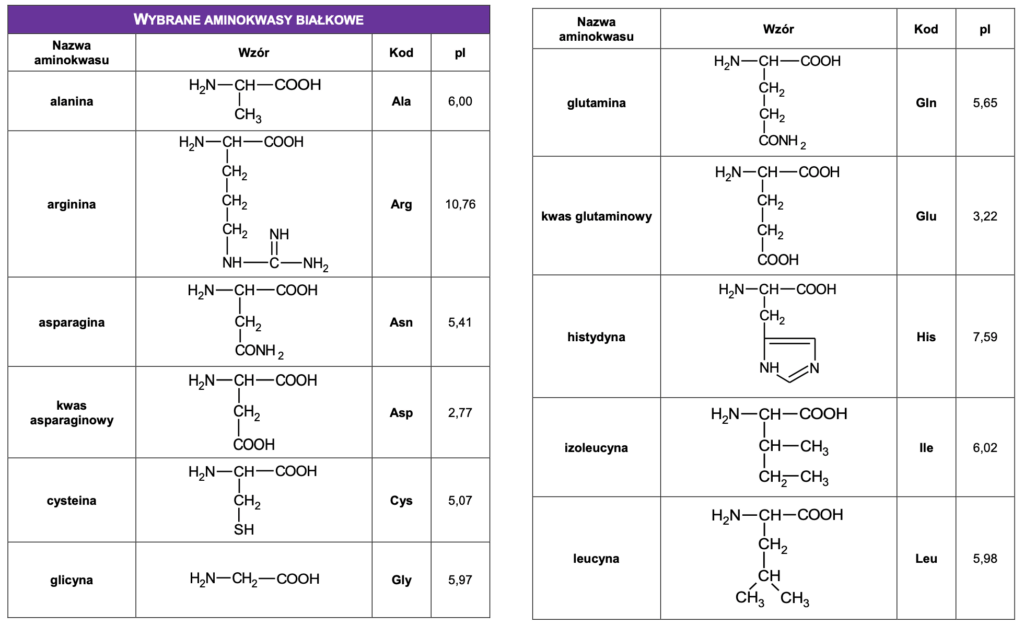 wybrane aminokwasy bialkowe tablice maturalne chemia