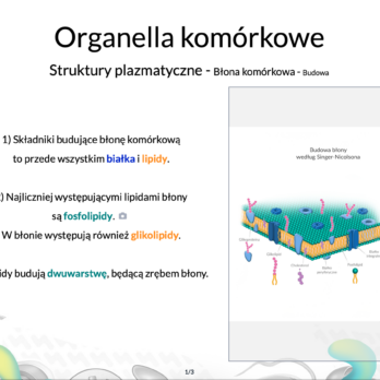 Kurs z Biologii Lekcja teoretyczna 5 Organella komórkowe 01
